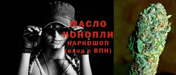 сатива Беломорск