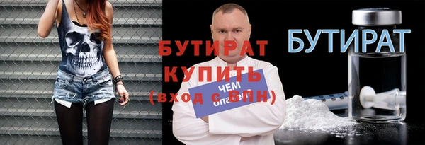 сатива Беломорск