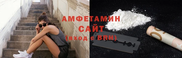 PSILOCYBIN Белокуриха