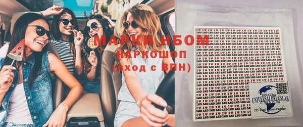сатива Беломорск