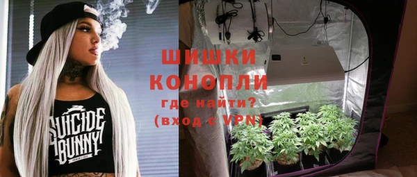 PSILOCYBIN Белокуриха