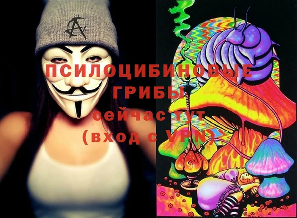 сатива Беломорск