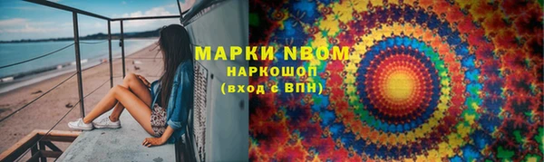 PSILOCYBIN Белокуриха