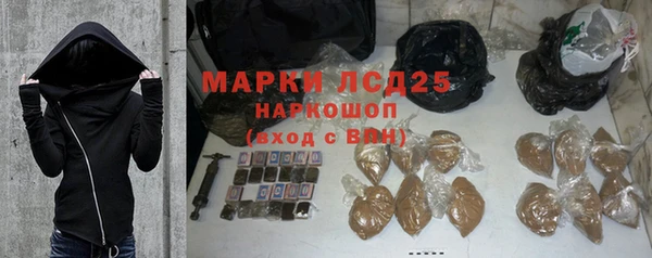 сатива Беломорск