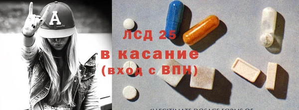 PSILOCYBIN Белокуриха