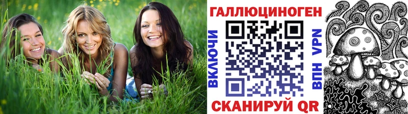 Псилоцибиновые грибы мицелий закладка hydra Казань